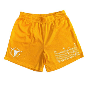 Outdated Mesh Shorts Yellow-Orange/White